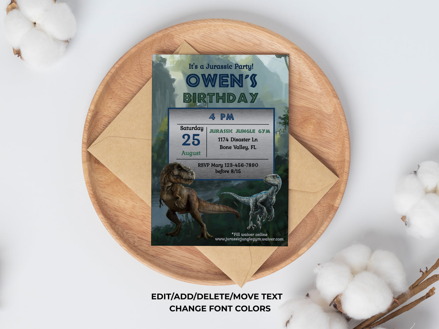 Jurassic Era Dinosaurs Birthday Party Invitation