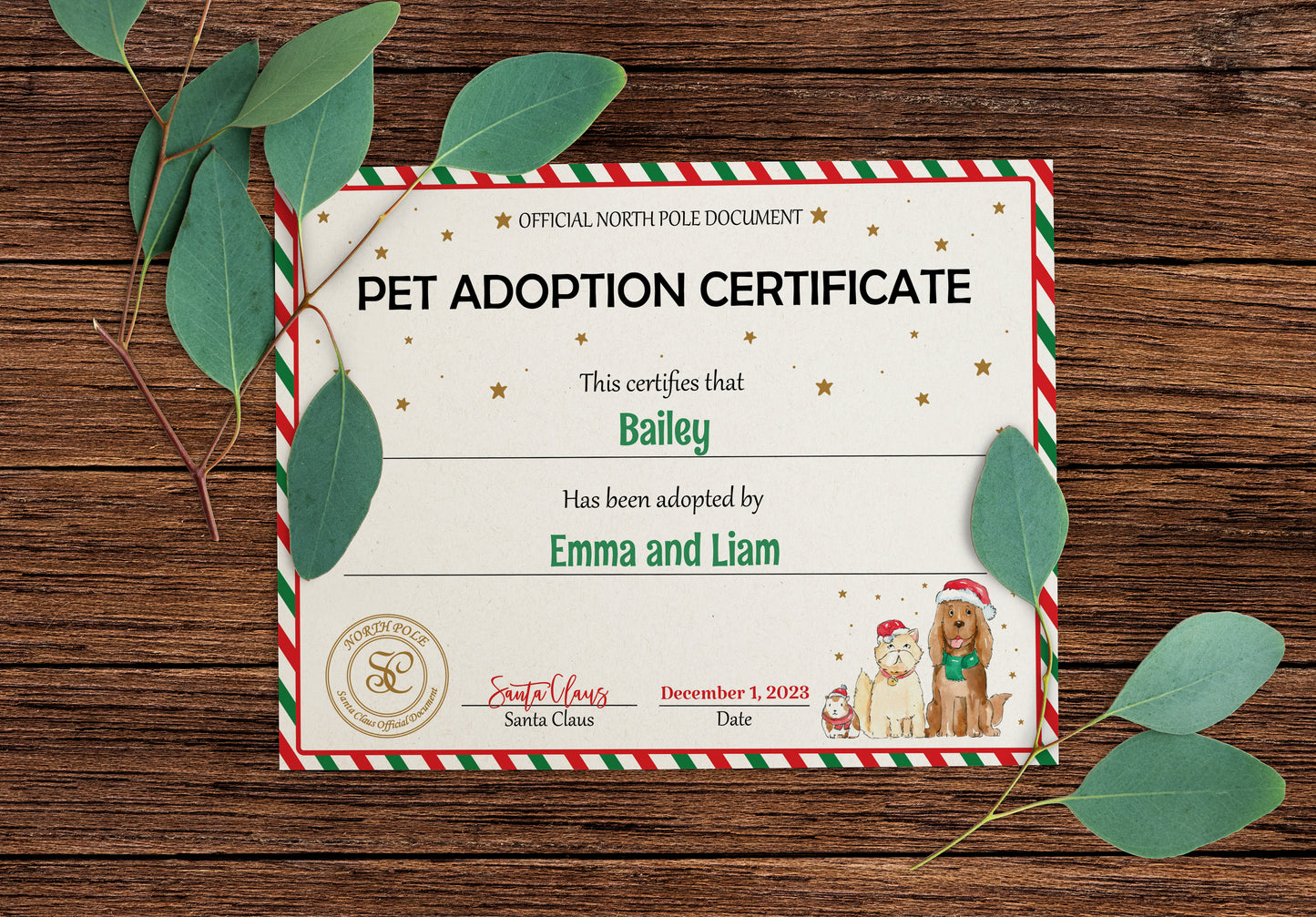 Santa's Official Pet Adoption Certificate