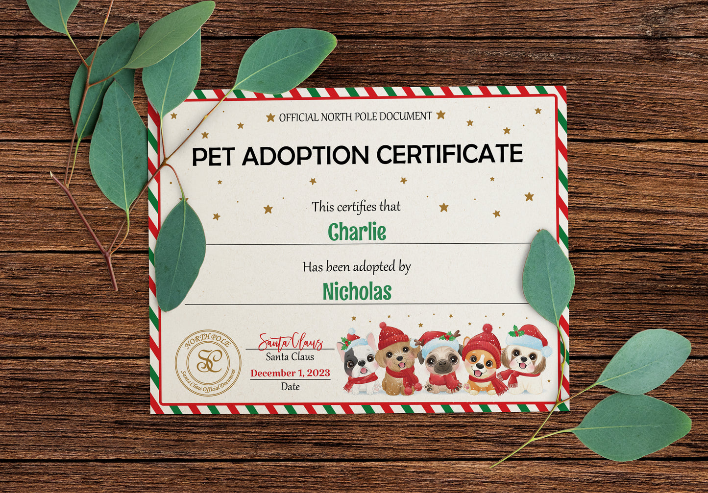 Santa's Official Pet Adoption Certificate